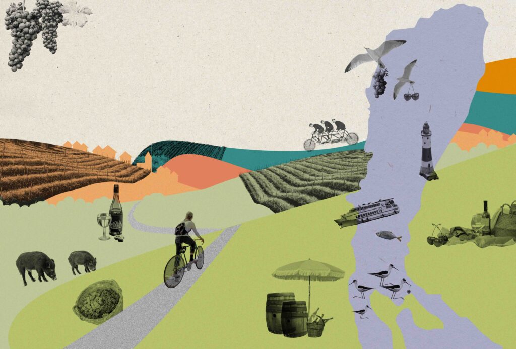 Collage für Radwegen im Burgenland um den Neusiedlersee